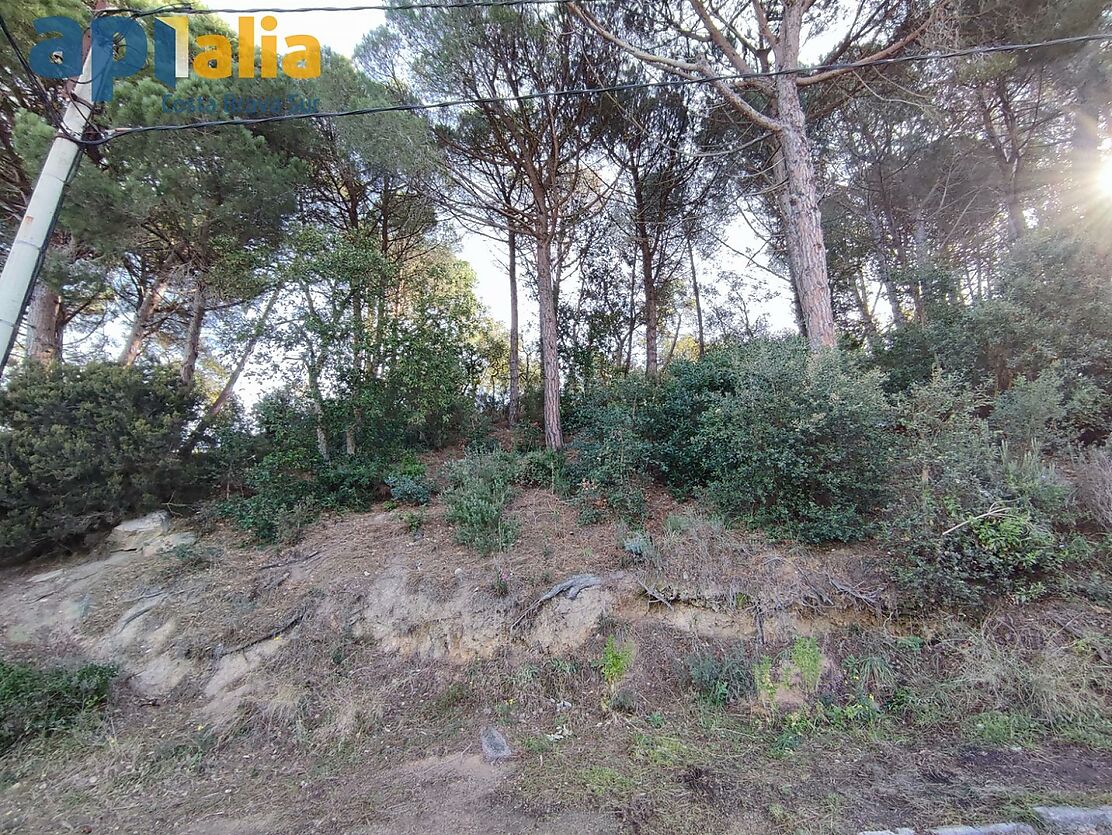 PLOT IN ROCA GROSSA WITH SIDE SEA VIEWS