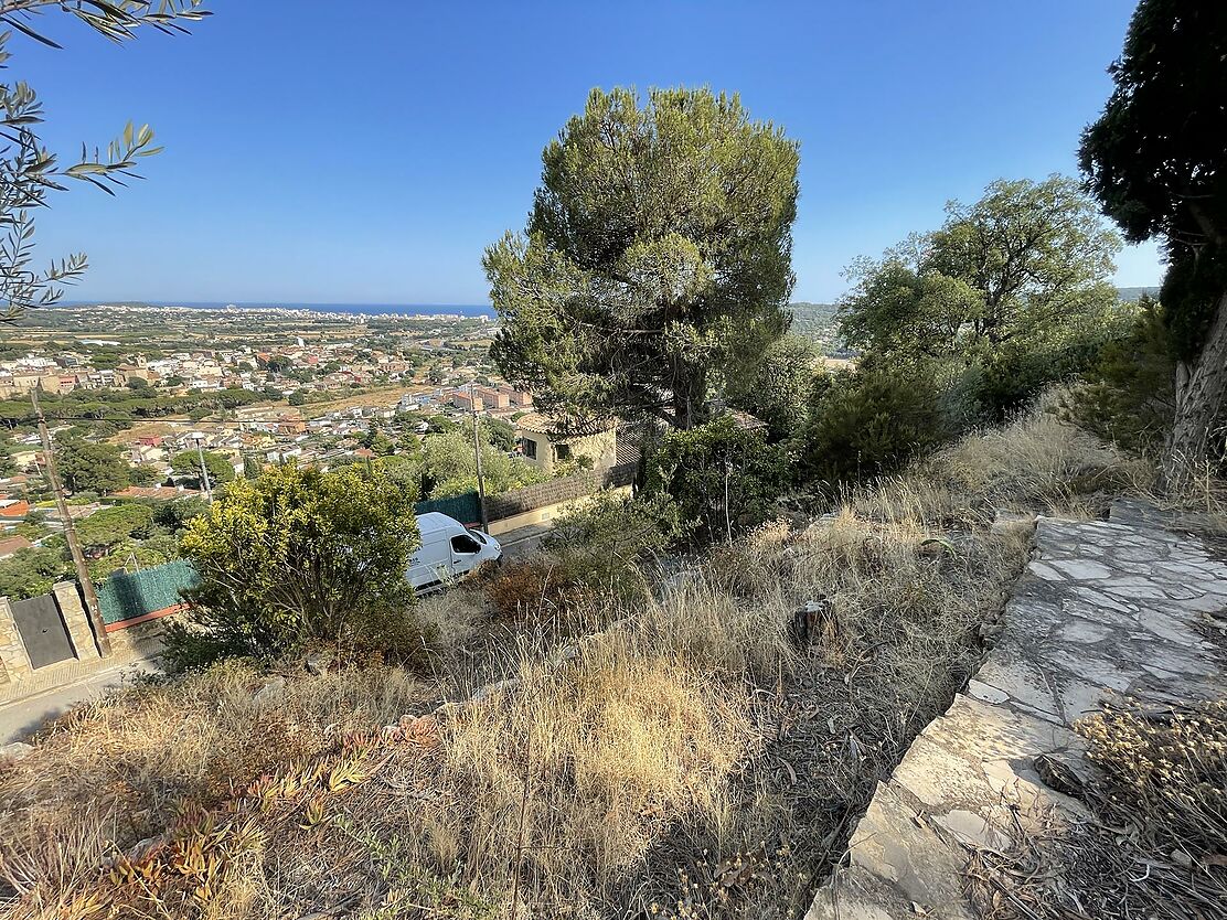 Terrain avec vue sur la mer à Mas Ambrós