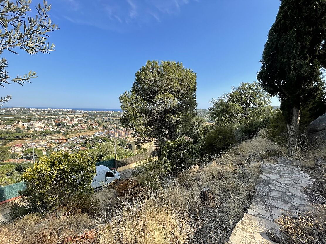 Terrain avec vue sur la mer à Mas Ambrós