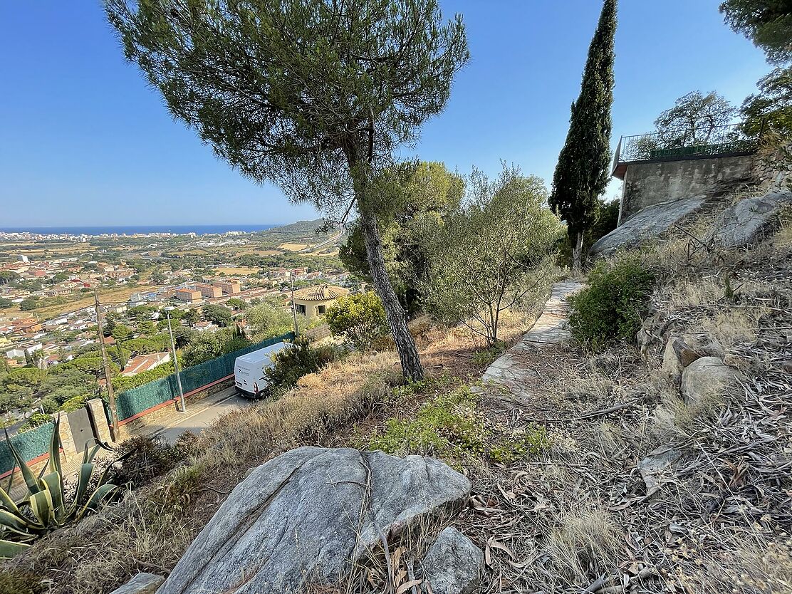 Plot with sea views in Mas Ambrós