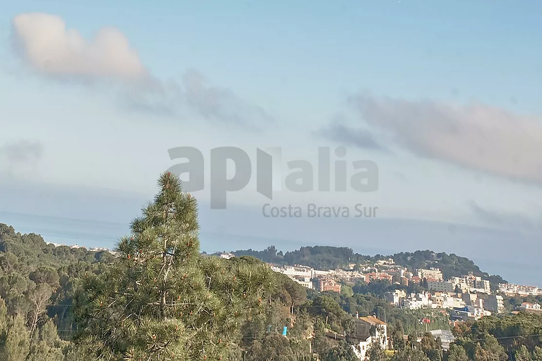 Villa with great potential, a 2,000 m  plot and boundless spaces in Los Pinares