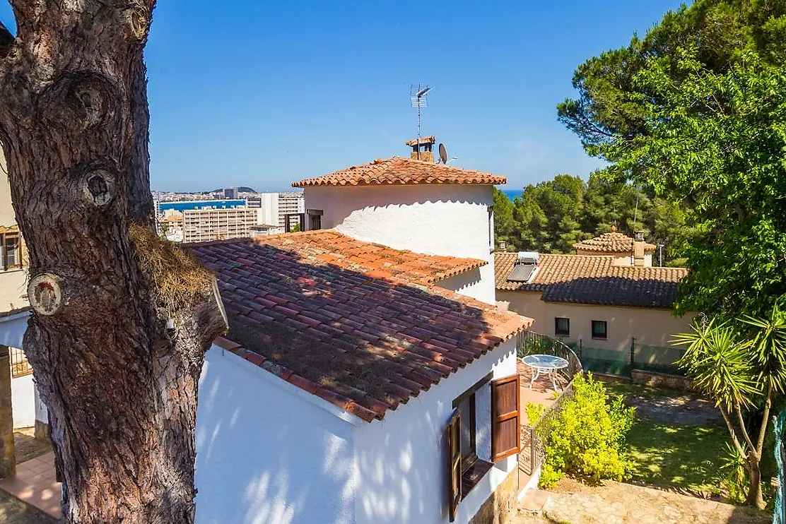 Charming detached house in Mas Vilà,It is located in a quiet environment surrounded by nature.