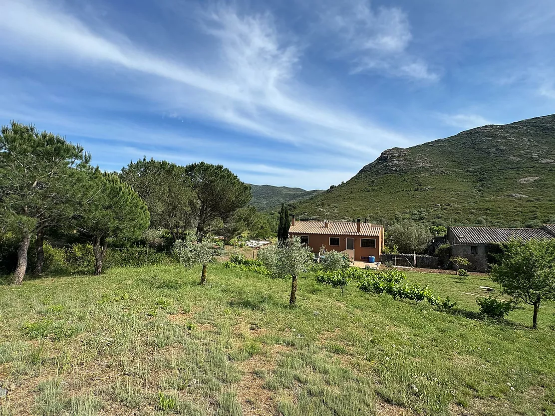 EXCLUSIVA CASA EN UNA IDÍLICA URBANIZACIÓN DEL ALT EMPORDÀ