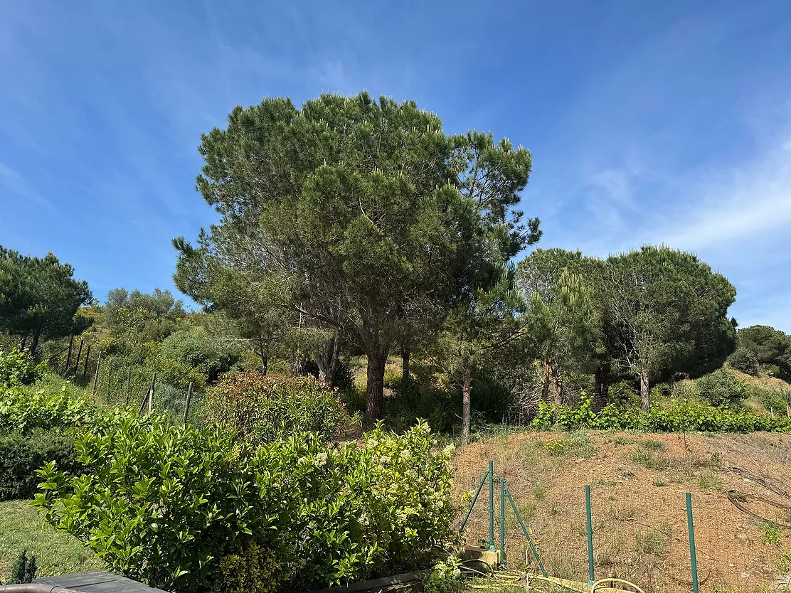 EXCLUSIVA CASA EN UNA IDÍLICA URBANIZACIÓN DEL ALT EMPORDÀ