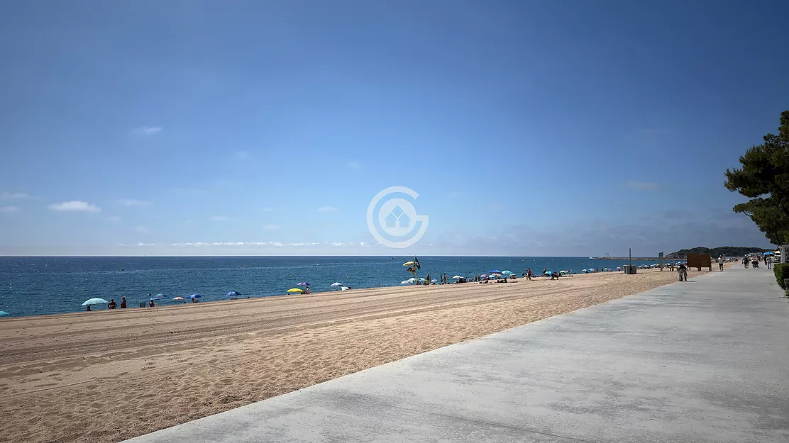 Studio en première ligne de mer au cœur de Platja d'Aro