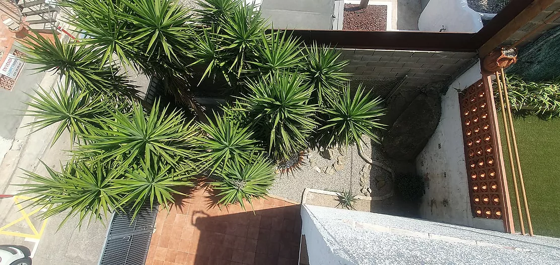 Descubre esta vivienda situada en una de las zonas residenciales de Rose