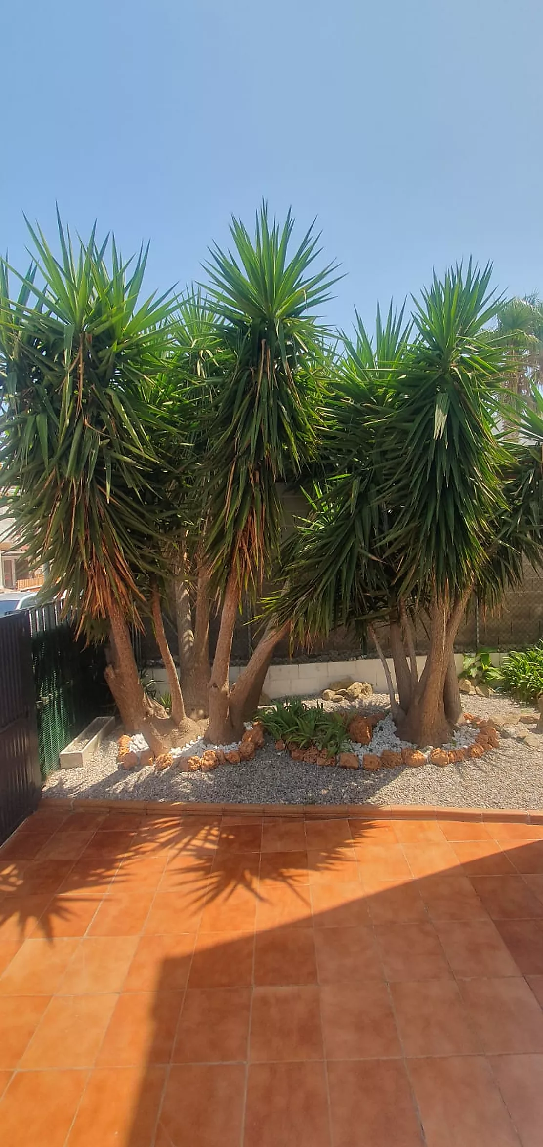 Descubre esta vivienda situada en una de las zonas residenciales de Rose