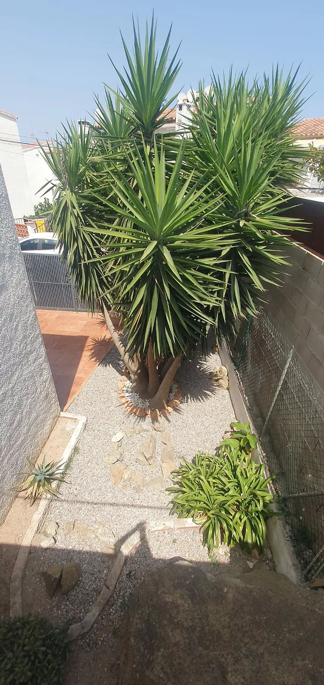 Descubre esta vivienda situada en una de las zonas residenciales de Rose
