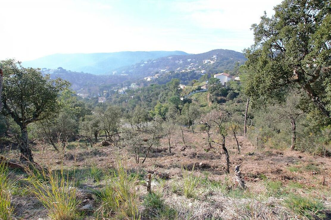 Plot with many possibilities, large area. Ideal to build multi-level house with large terraces and views of the Gavarres.
