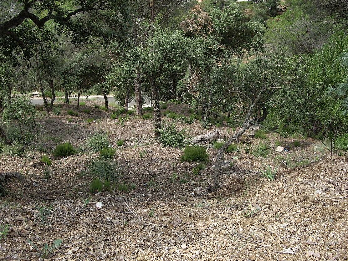 Terrain avec beaucoup de possibilités, grande surface. Idéal pour construire une maison sur plusieurs niveaux avec de grandes terrasses et une vue sur