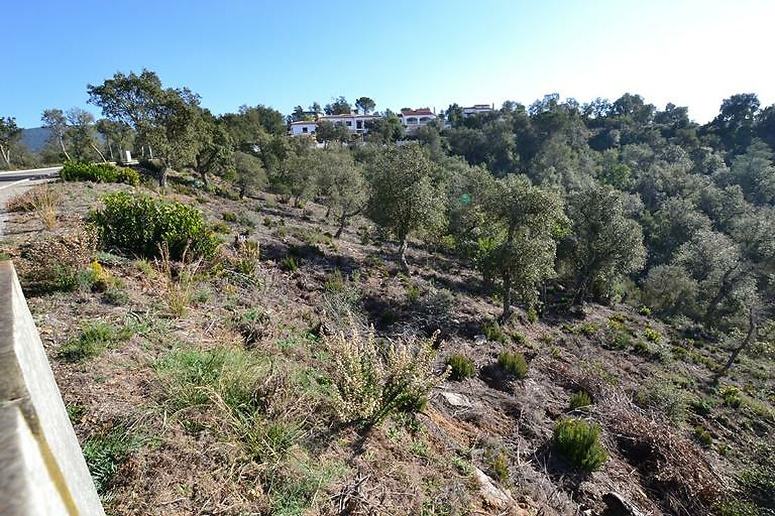 Situé dans un secteur privilégié, contre la zone verte