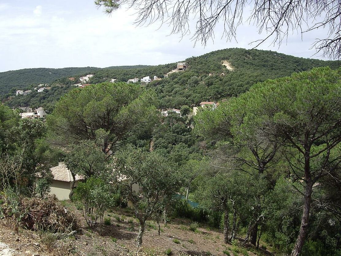 Terrain avec vue sur la montagne