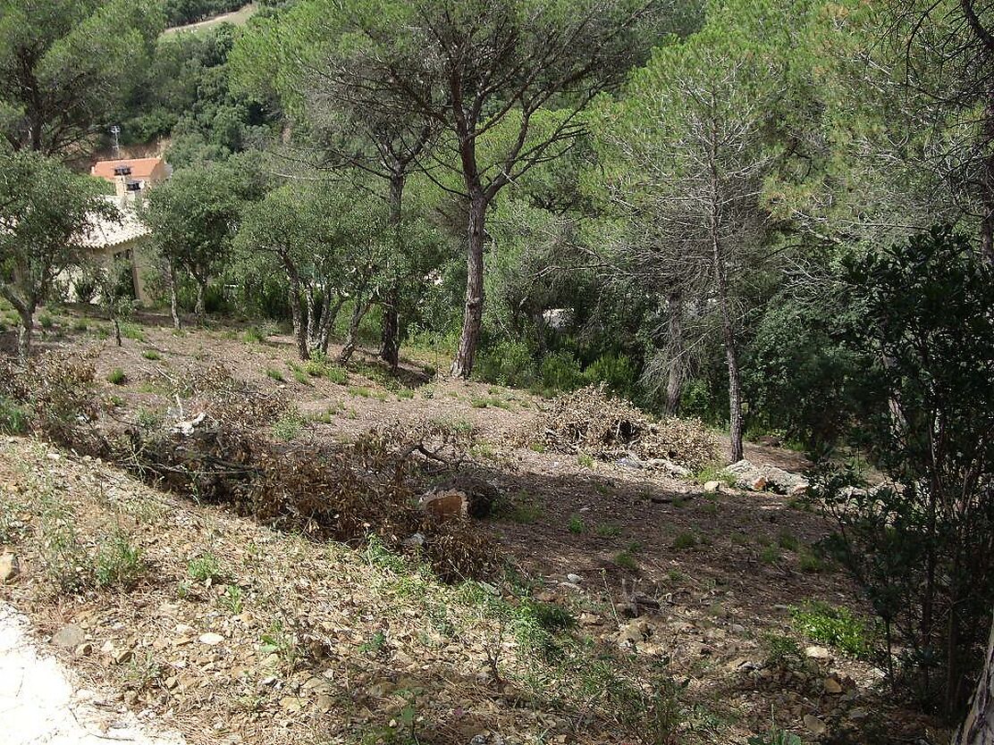 Parcela con vista a las Gavarres.