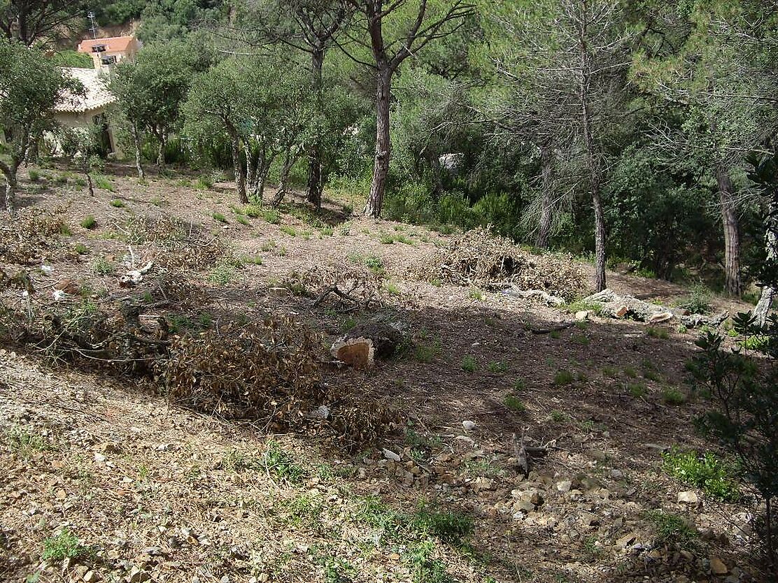 Parcela con vista a las Gavarres.