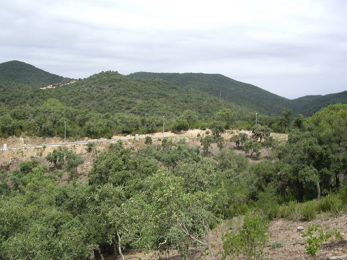 Parcela en zona muy tranquila