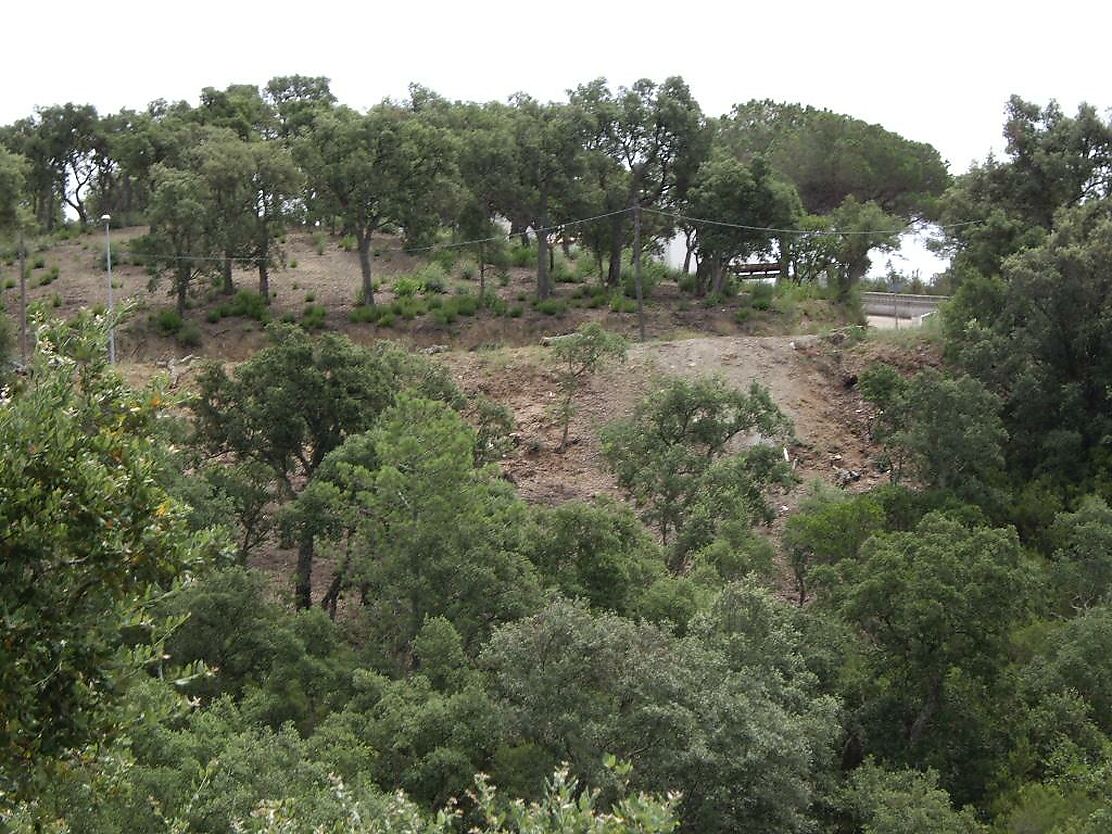 Terrain dans un quartier très calme